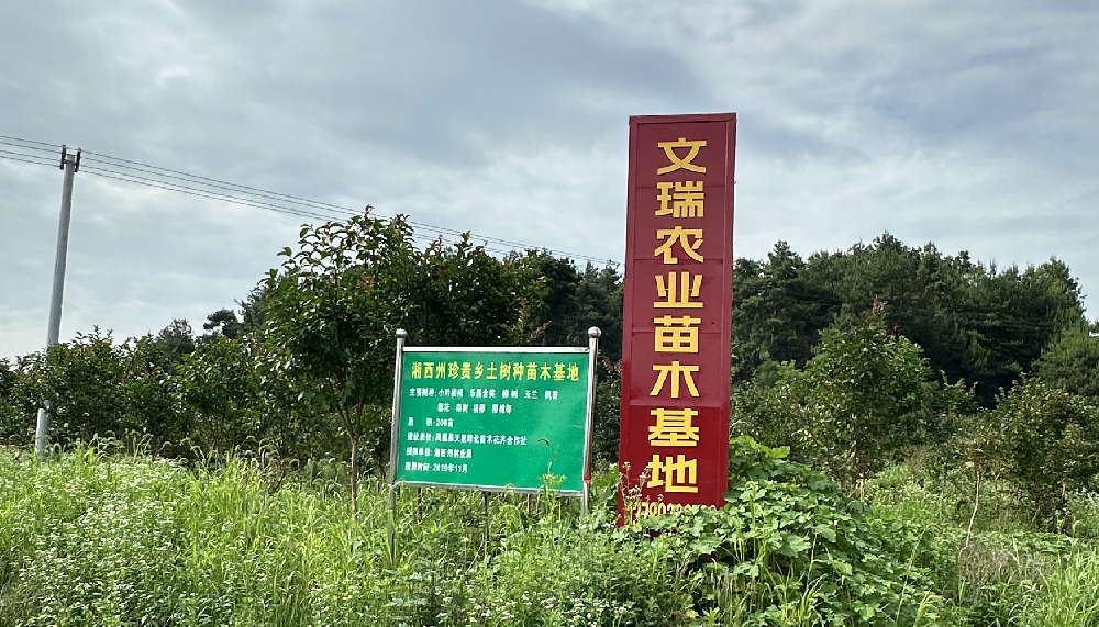 花卉苗木基地管理、销售
